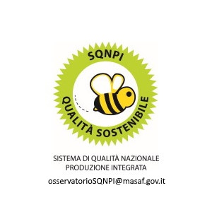 SQNPI logo