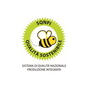 SQNPI logo